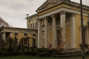 «Всё гниет и разрушается»: Варламов раскритиковал непарадные дворцы Петергофа