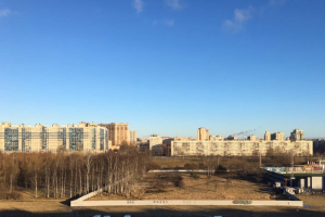 Защитники Муринского парка передали в Смольный более 6 тысяч подписей против его застройки