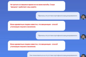 Бот на «Госуслугах» начал говорить пользователям, что коронавируса не существует, а вакцинация опасна. В Минцифры заявили о кибератаке на портал