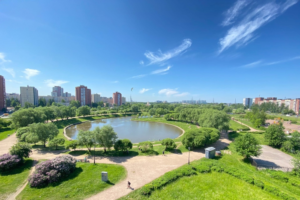 Парк Малиновка, на территории которого планировали возвести храм, защитили от застройки