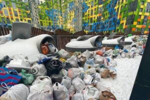Мусорная реформа в Петербурге началась с гор отходов во дворах. Что об этом известно