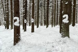 Стоит ли подводить личные итоги 2023-го и как строить планы на следующий год?