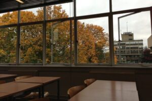 В Петербурге учительницу вынудили уволиться из школы за отказ тестировать электронное голосование