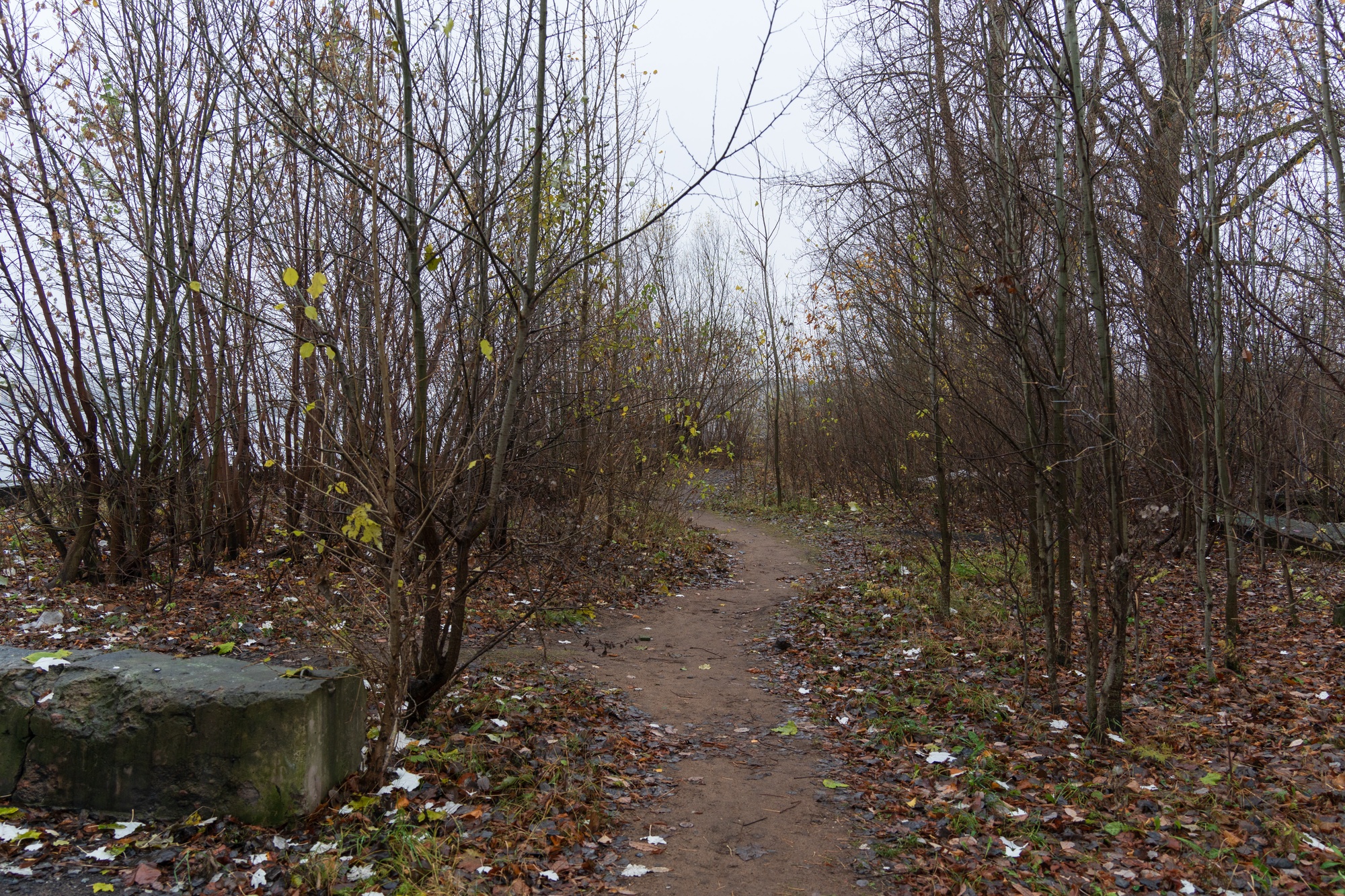 Фото: «Бумага»