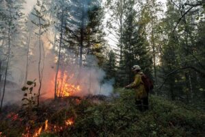 «Однажды пришлось добираться до возгорания в шторм на лодке». Женщинам в России запрещено работать пожарными — но они тушат огонь в качестве волонтерок. Это истории трех таких петербурженок