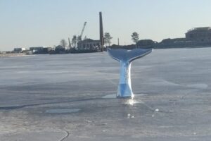 В парке «Остров фортов» открыли фестиваль паблик-арта с работами Максима Имы и других художников