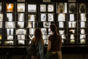 Гид по «Ночи музеев-2025». Много музыки, грибы, мумии, выставка «Прожито» и реконструкция аварии на Чернобыльской АЭС