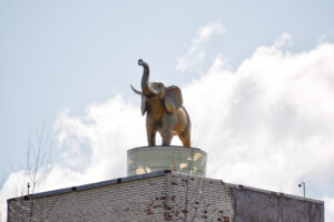 Огромный слон стоит на крыше здания в промзоне Пушкина. Откуда он взялся?