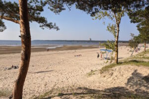 Гид «Бумаги» по новому купальному сезону. Когда прогреется залив, можно ли плавать в «неположенных местах» и какие пляжи сейчас закрыты?