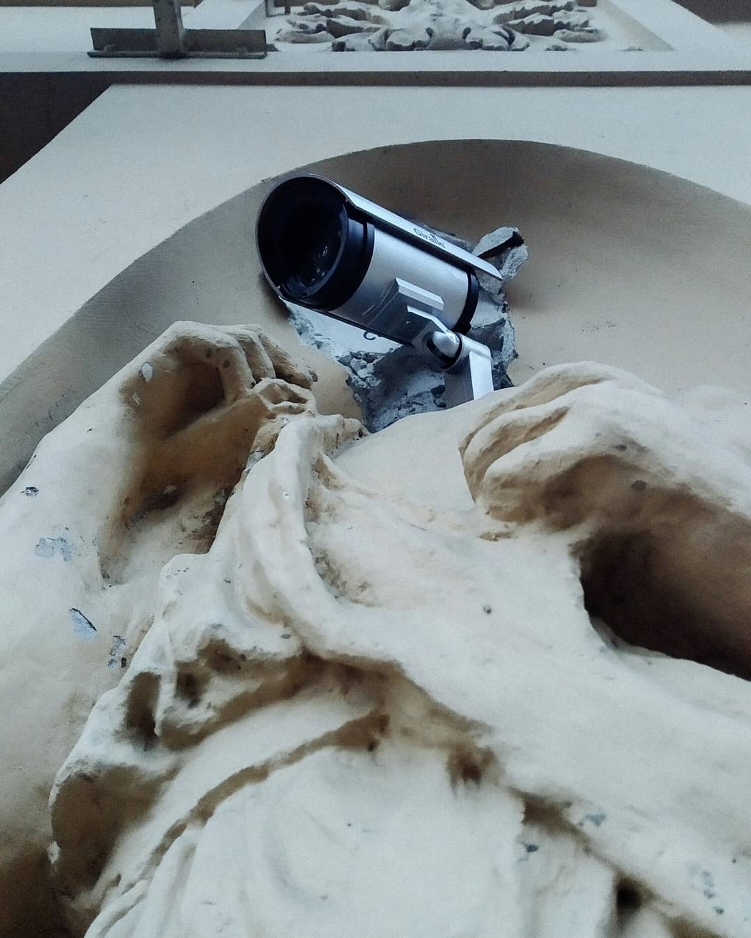 Фото: lonesome_grass/instagram