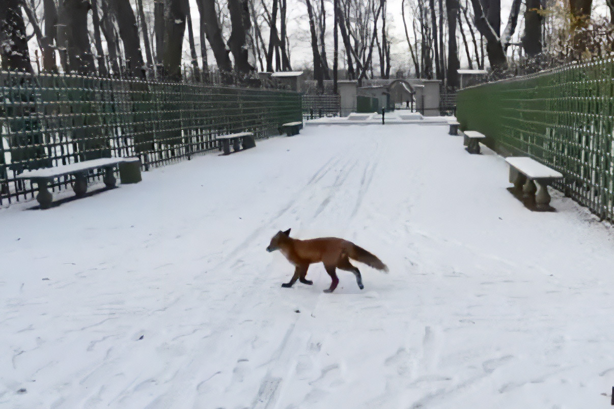 Фото: «Фонтанка»