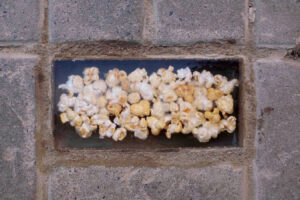 Кто разложил под ногами в Петербурге яичницу, рюмку и попкорн? Знакомьтесь, художник Алеша и его объекты в эпоксидке